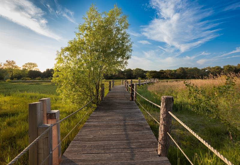 Parco della biodiversità Lino delle Fate Eco Village Resort Bibione