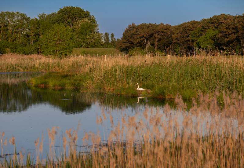 Parco della biodiversità Lino delle Fate Eco Village Resort Bibione