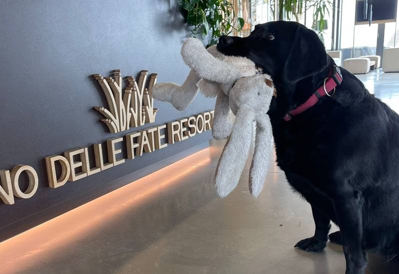 Lino _Delle_Fate_Pet_Friendly